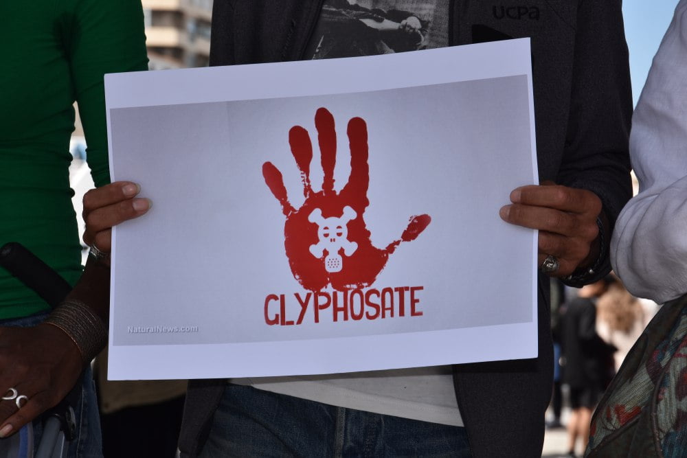 MONSANTO SCONFITTA DAVANTI ALLA CORTE SUPREMA: GLIFOSATO CANCEROGENO